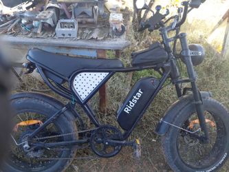 Ridstar 20 1200wats