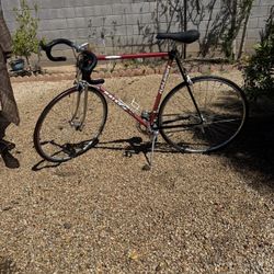 Vintage Raleigh USA Technium - SunTour Cyclone 700 & Cinelli - Project