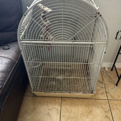 Bird Cage