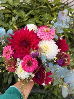 Sweet flower