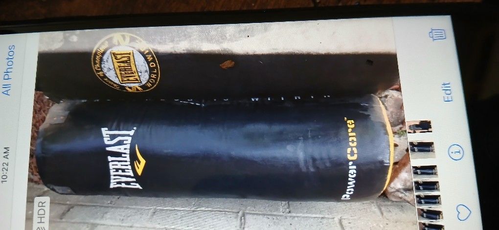 Everlast PUNCHING Bags (2)