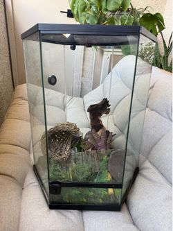 Thrive Vertical Hexagon Tropical Reptile Terrarium - 20 Gallon