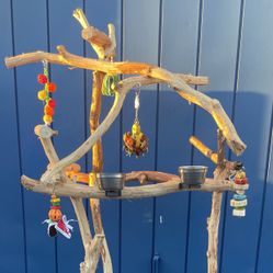 Macaw Perch Tree… Thick and Curvy , Loved By Gnarly Macaws … Thick Durable Ribbon Wood Lasts For Years ! 