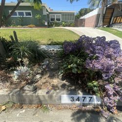 Freshly Painted Curb Home Address 