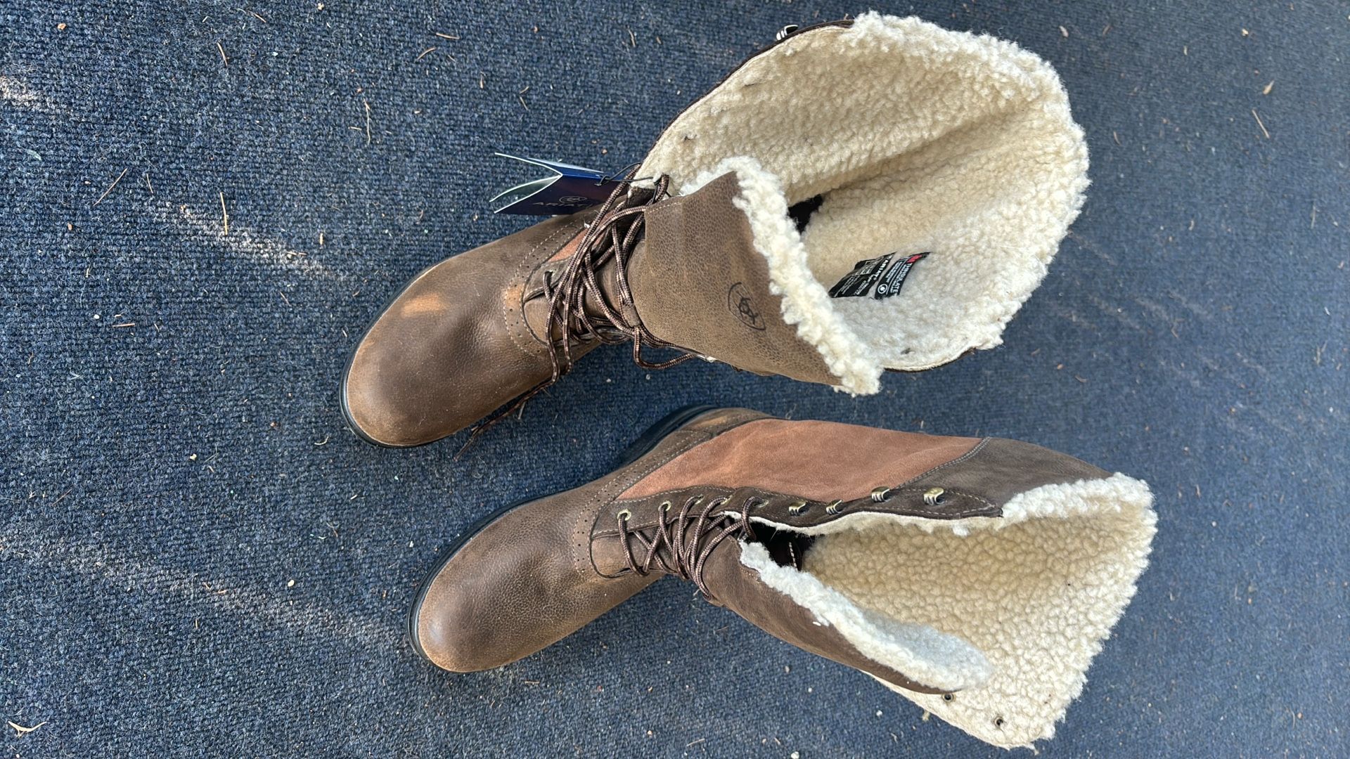 Ariat “Wythburn” riding boots