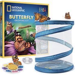 National Geographic Butterfly Growing kit