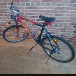 His And Hers Mountain Bikes 