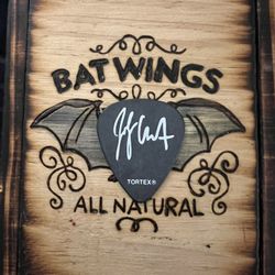 Avenged Sevenfold Johnny Christ Signed Guitar Pic - Green Cove Springs Pickup!