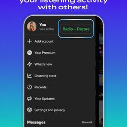 spotify premium 29.99💲 for a year