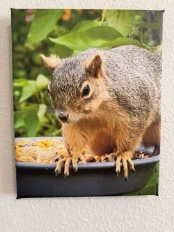 8x10 Canvas tPrint:  Hello!  Fairview, Oregon