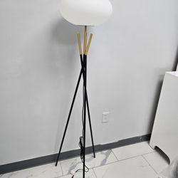 Floor Lamp New