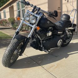 2009 Harley  Davidson Hd