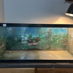 75 Gallon Fish/Turtle Tank