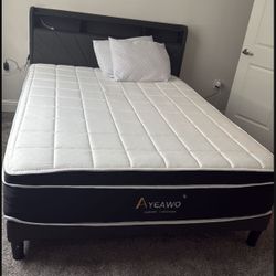 Queen bed with mattress and sofa with coffee table