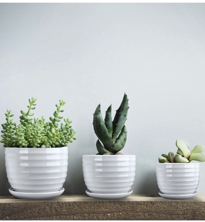 nchRound Modern Ceramic Garden Flower Pots Small to Medium Sized