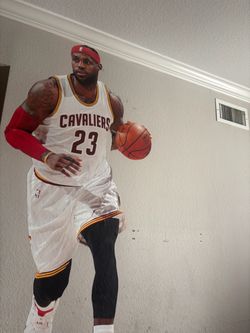 Fat head LeBron James