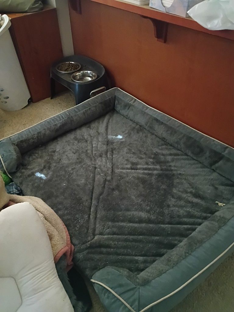 Comfort Expression Dog Bed