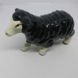 VINTAGE BLACK SHEEP