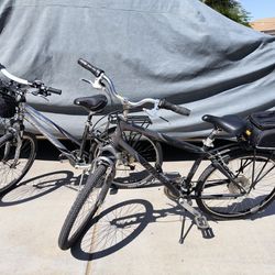 Trek And Giant Bikes, Separately Priced 