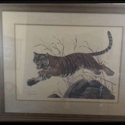 John A Ruthvens Bengal Tiger 