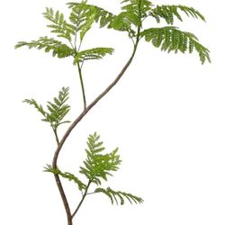 Artificial Jacaranda mimosifolia Tree