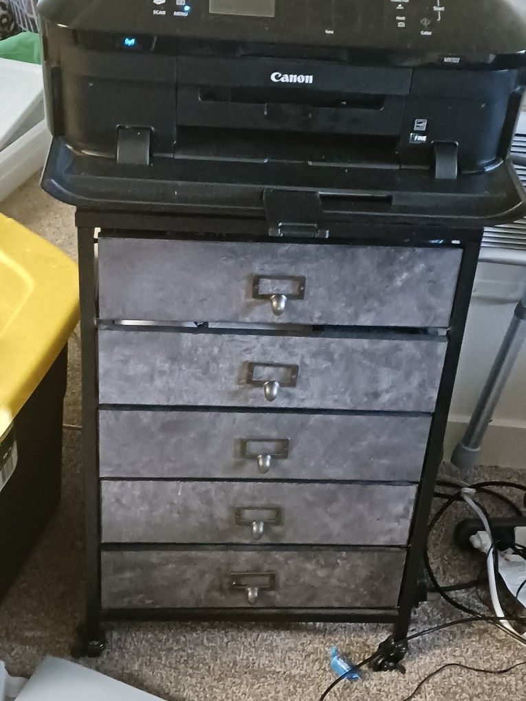 Printer Cart And Printer