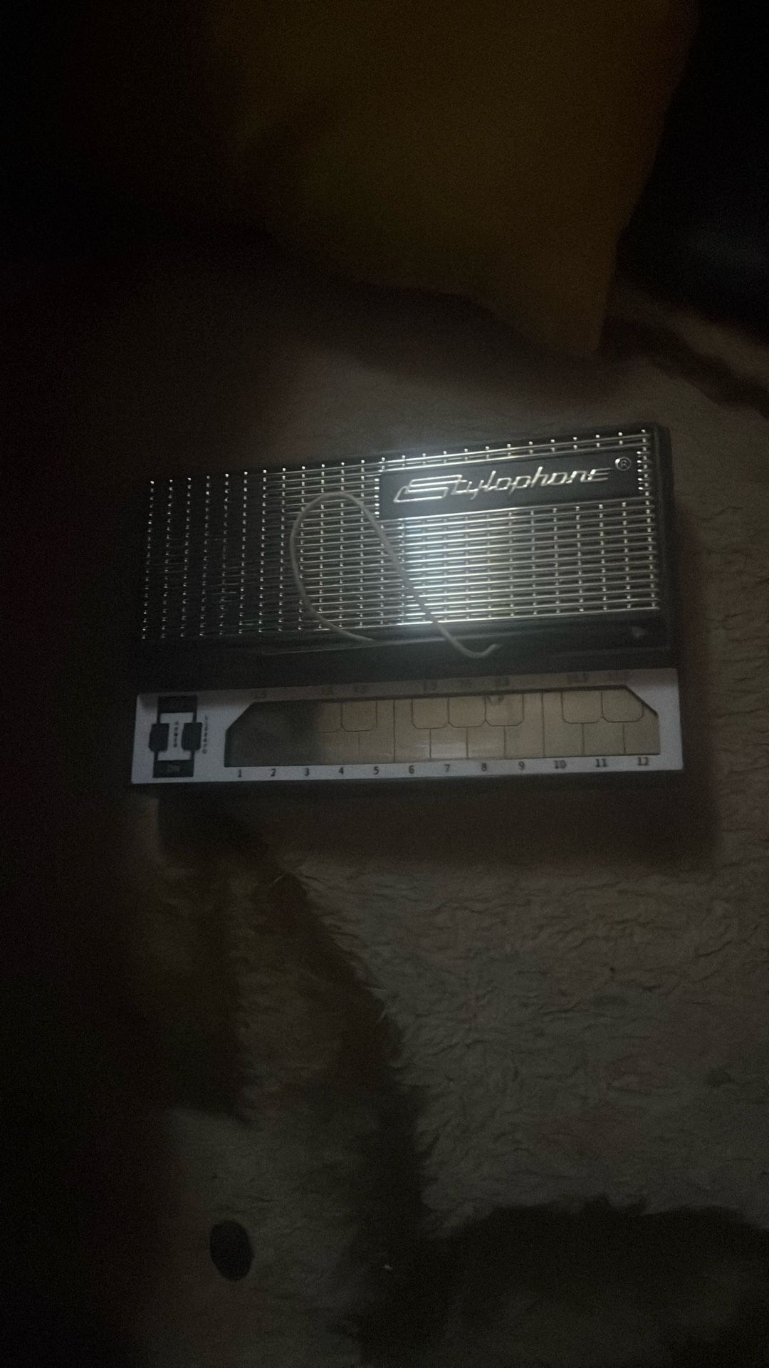 Stylophone (price Negotiable)