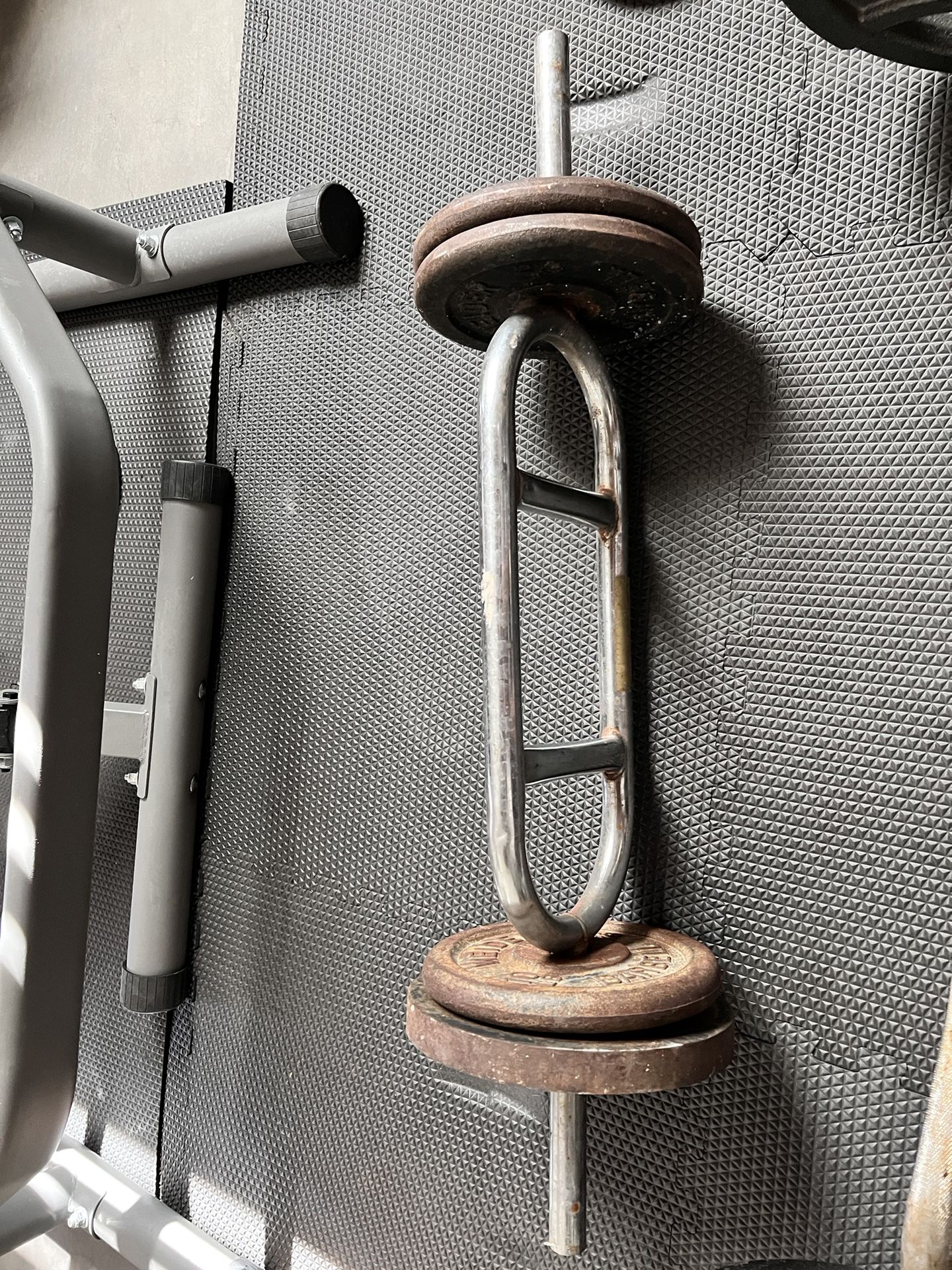 Curl Bar