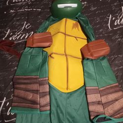 Ninja Turtle Costume 