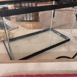 Glass Terrariums With No Lid And Others 