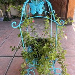 Decorative Plant Holder 