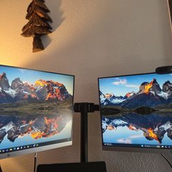 HP 24 Inch Desktop Monitor