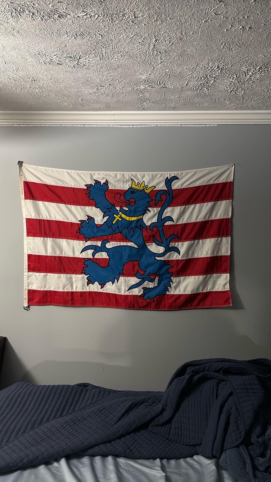 Antique City Of Brugges Flag