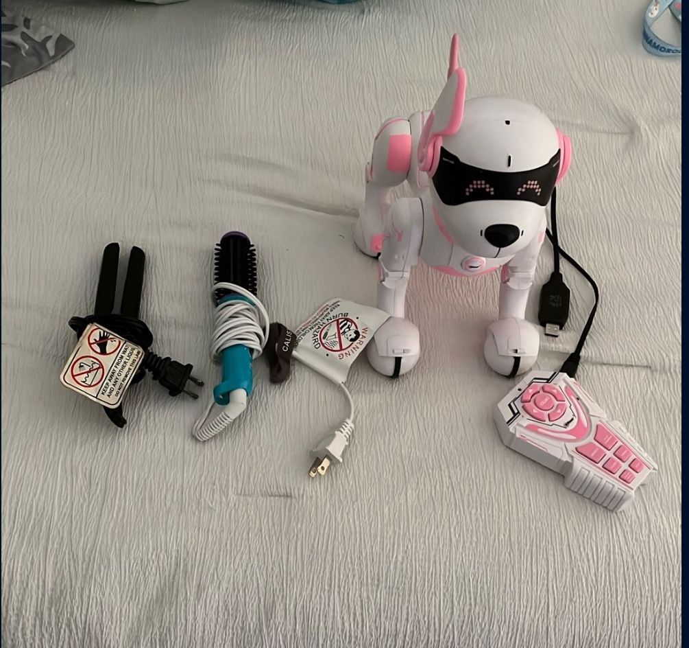 Smart Dog With Remote, And Straighter, And Round Brush
