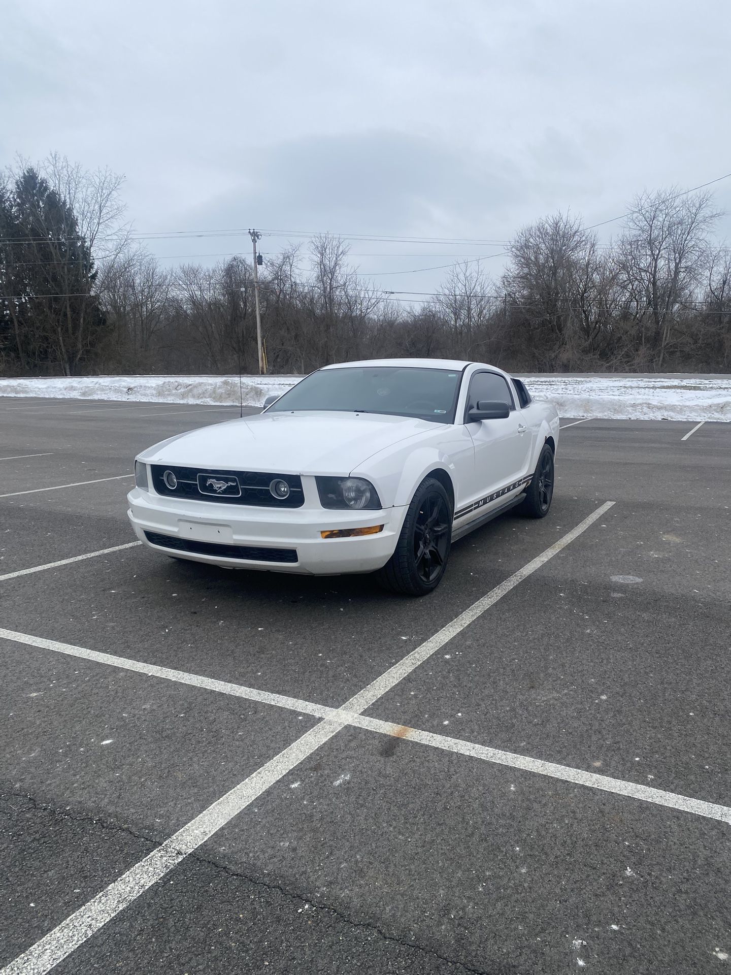 2005 Ford Mustang