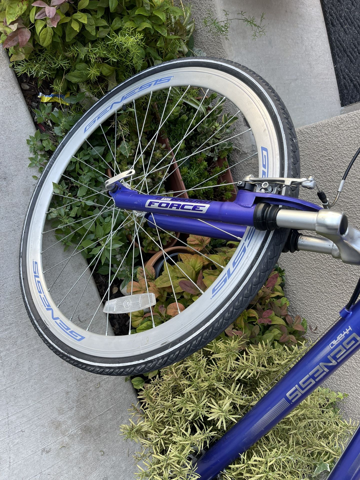 Genesis Terra 700 Hybrid Women s bike for Sale in Fairfield CA