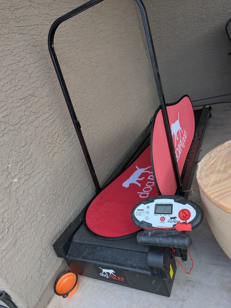 Dog Treadmill