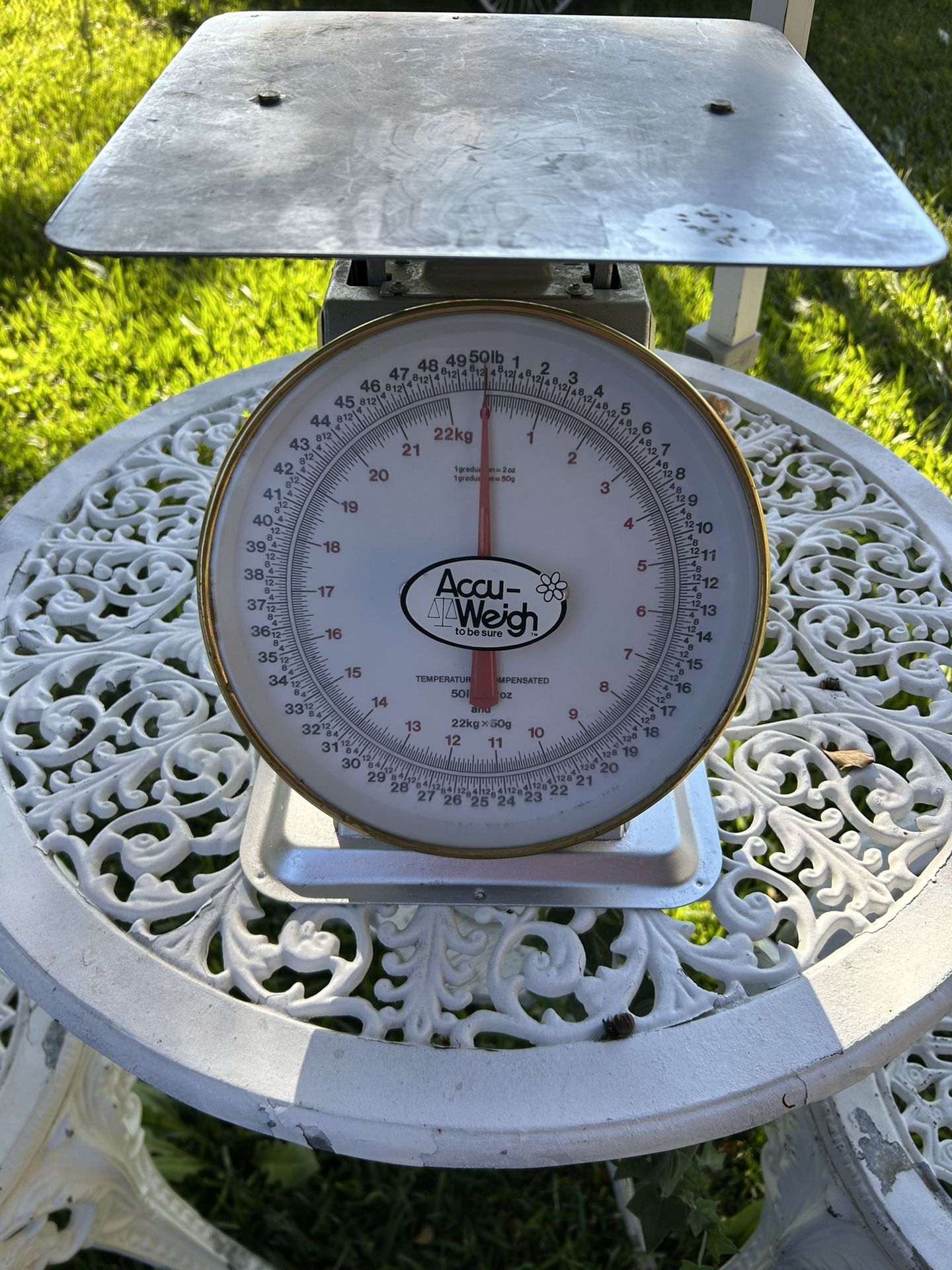 Commercial Scale-50lb