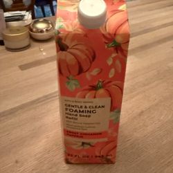 Bath & Body Works GENTLE & CLEAN FOAMING Hand Soap Refill - Brand New 