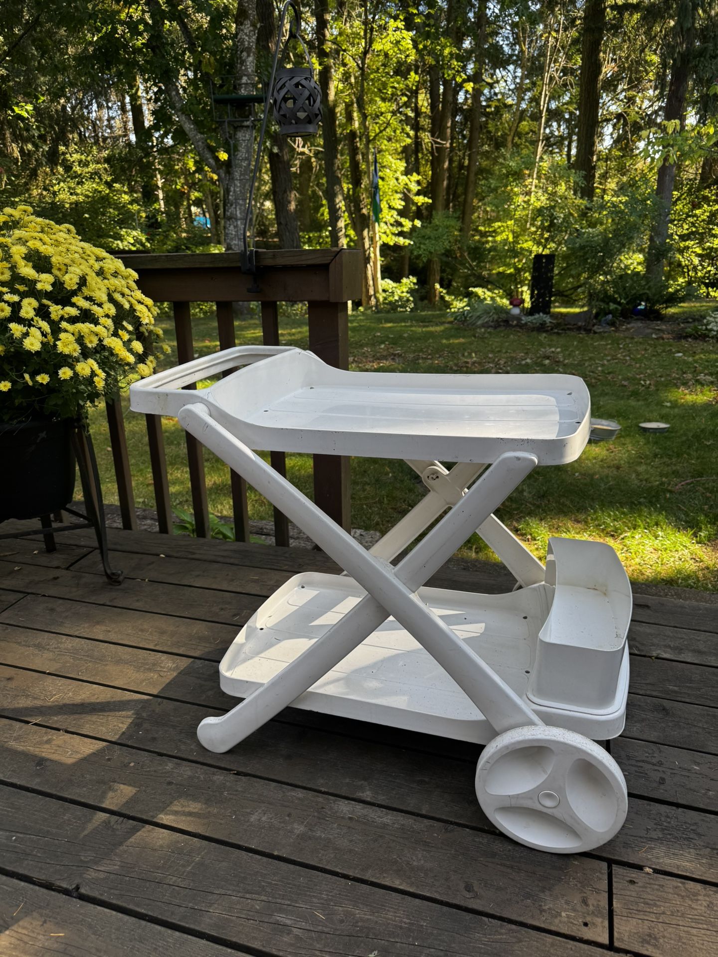 Outdoor Serving Cart
