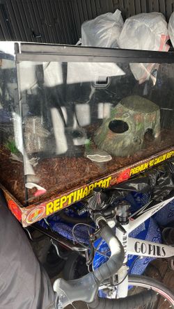 40 Gallon  reptile Aquarium Every Thing Inside Comes With Tank