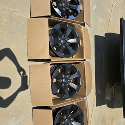 Rims 