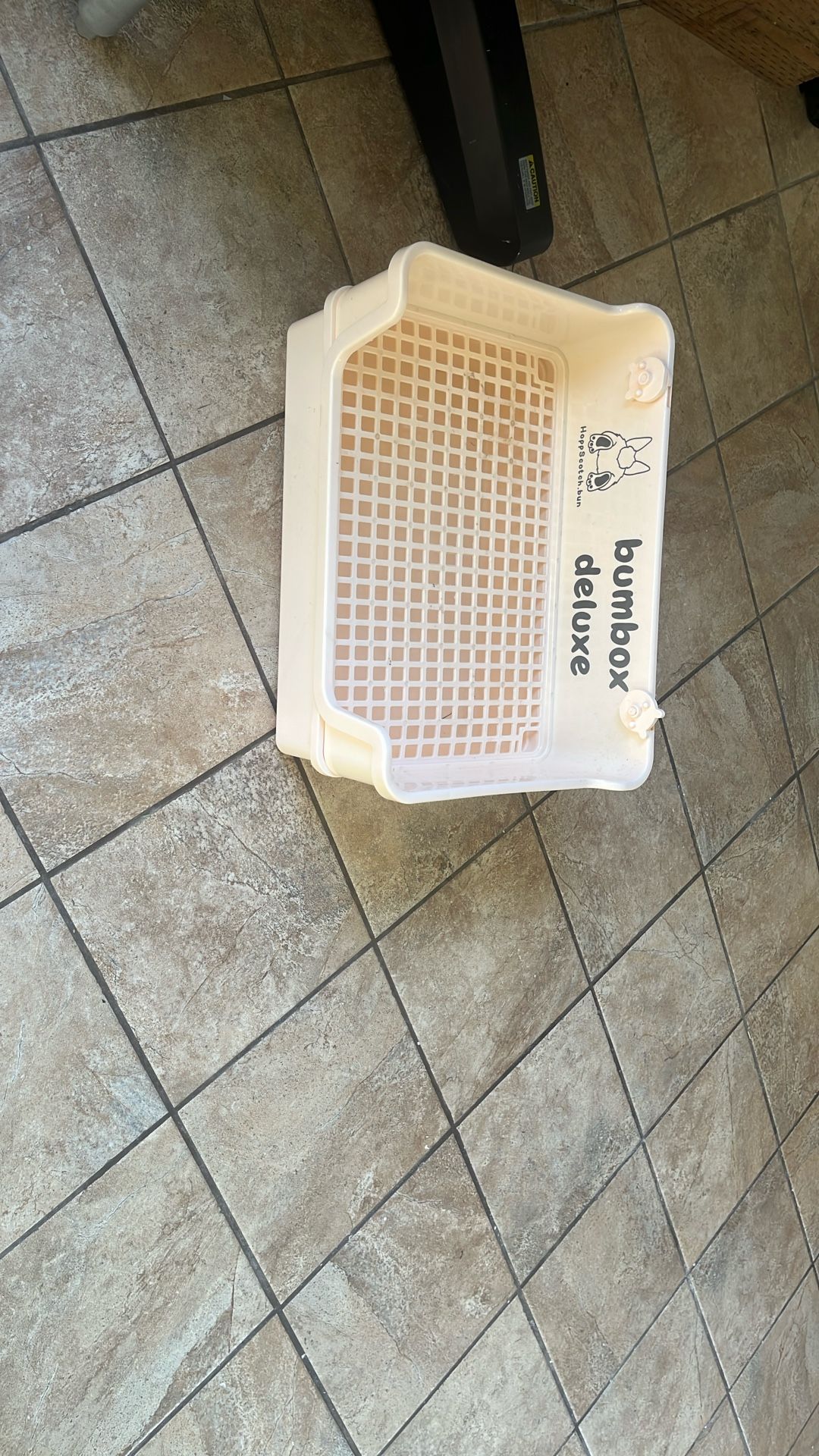 Large Litter Box for rabbits