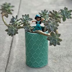 $15 Aladdin, Princess jasmine spired fairy garden
