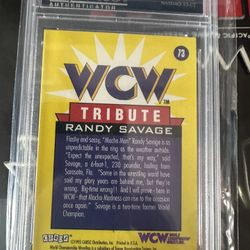 Randy Macho Man Savage Card