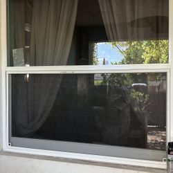 1 Window 53 X 50 5/8