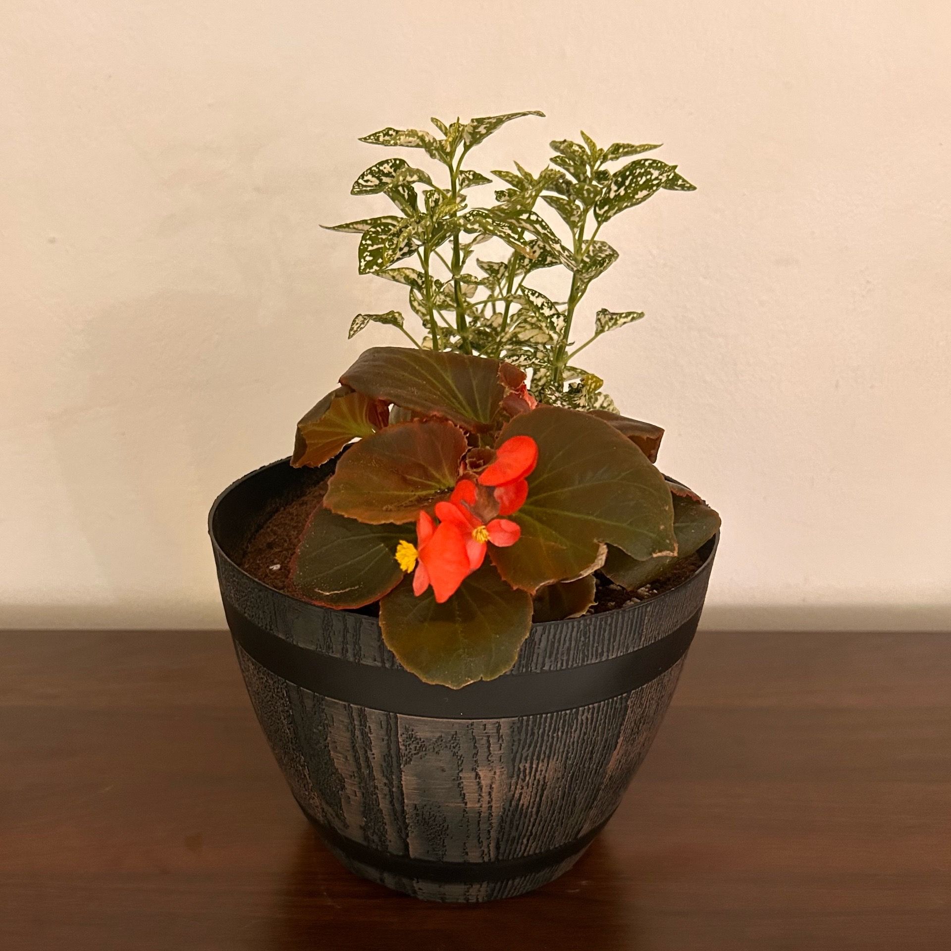 Partial Shade Flowers Whiskey Barrel Planter