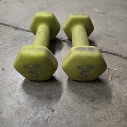 Pair of 5lb Neoprene Coated Dumbbells - Excellent for Home Workouts!
