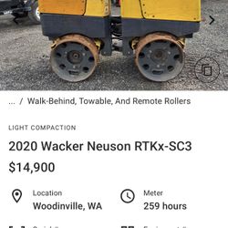 2020 Walker Neuron 