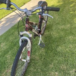 Schwinn Bike
